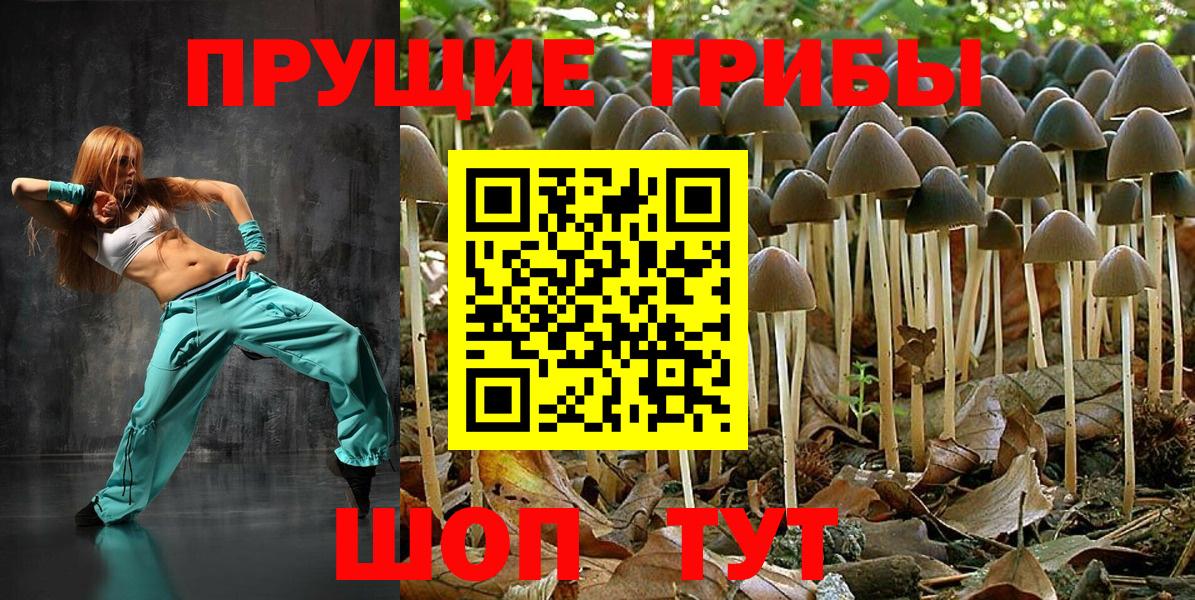 Галлюциногенные грибы Magic Shrooms  Вход с VPN  Пугачёв 